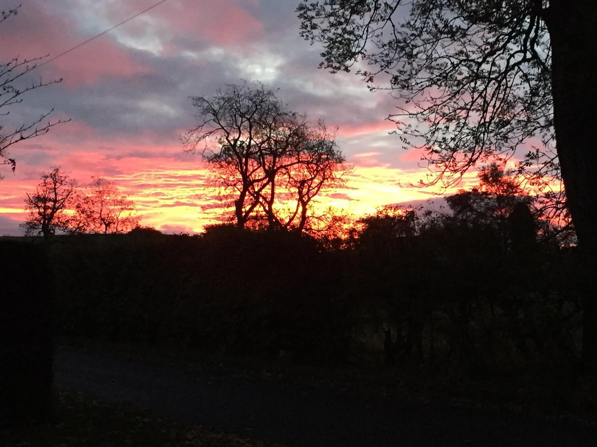 Lodge At Lochside Bridgend of Lintrathen エクステリア 写真